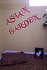 The Asian Garden
